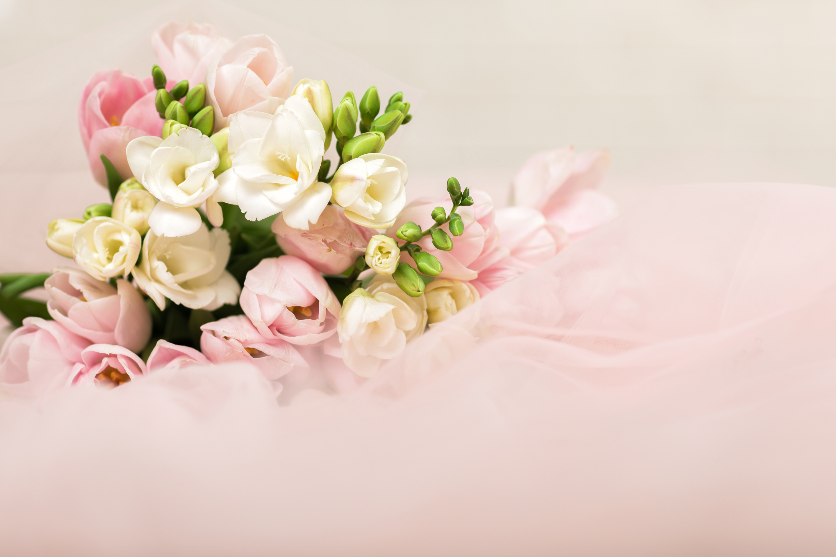 the wedding beautiful bouquet of pink tulips